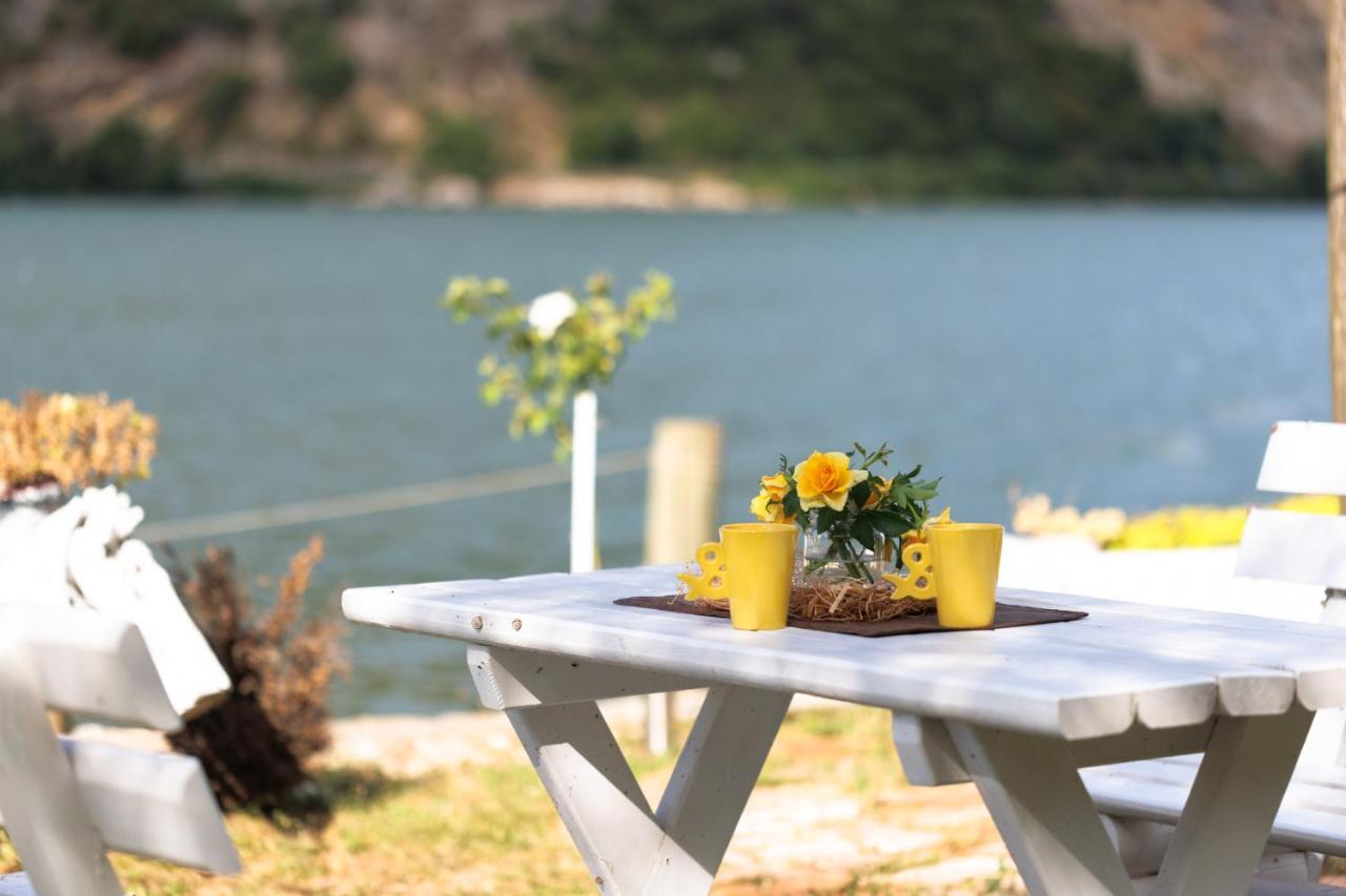 Apartman Barka Golubac Dış mekan fotoğraf