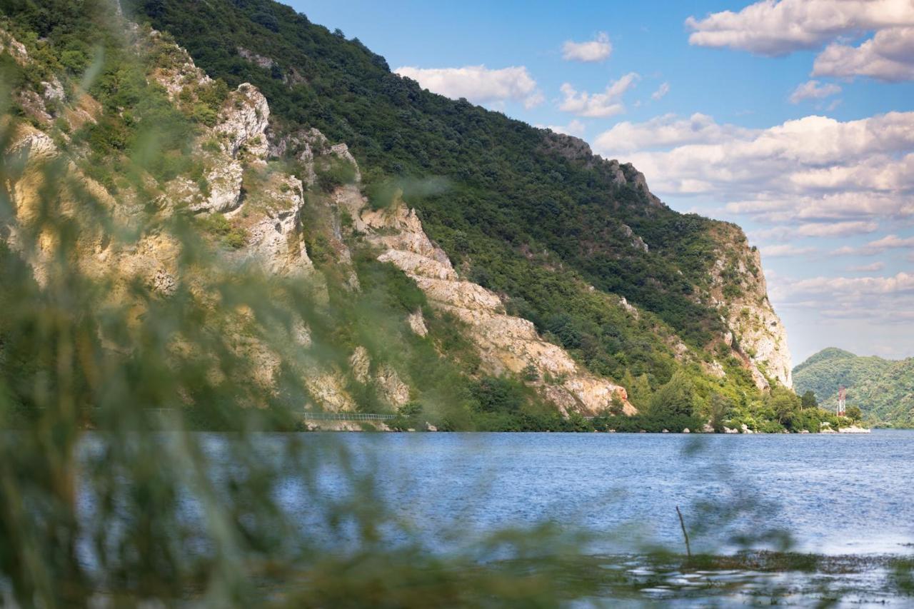 Apartman Barka Golubac Dış mekan fotoğraf