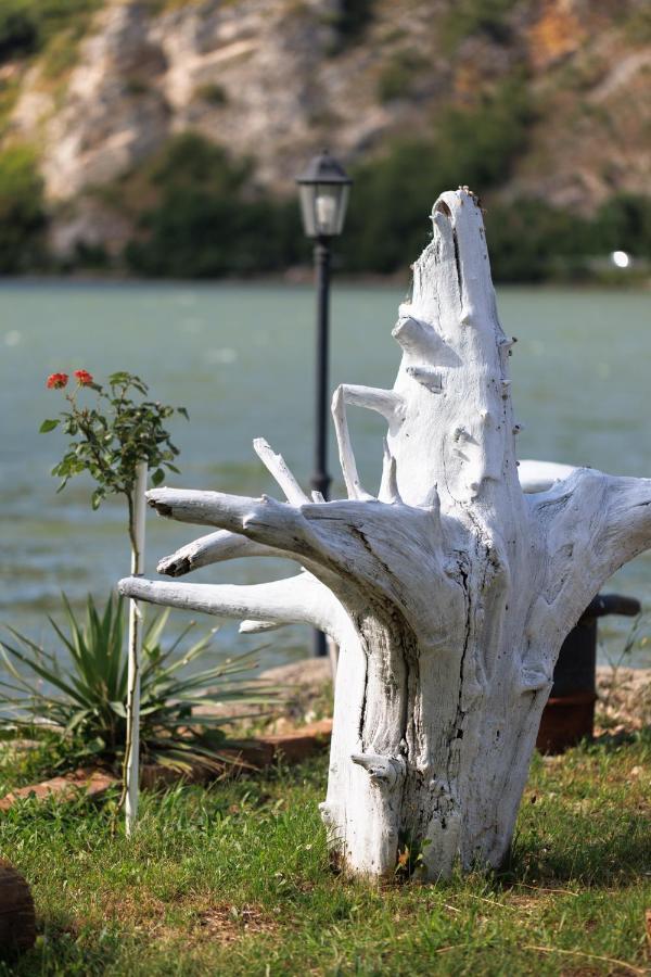 Apartman Barka Golubac Dış mekan fotoğraf