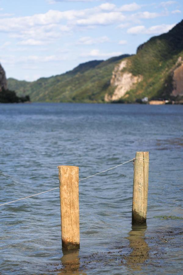 Apartman Barka Golubac Dış mekan fotoğraf