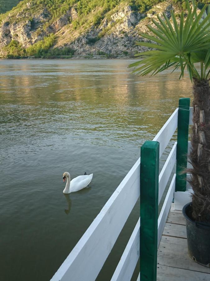 Apartman Barka Golubac Dış mekan fotoğraf