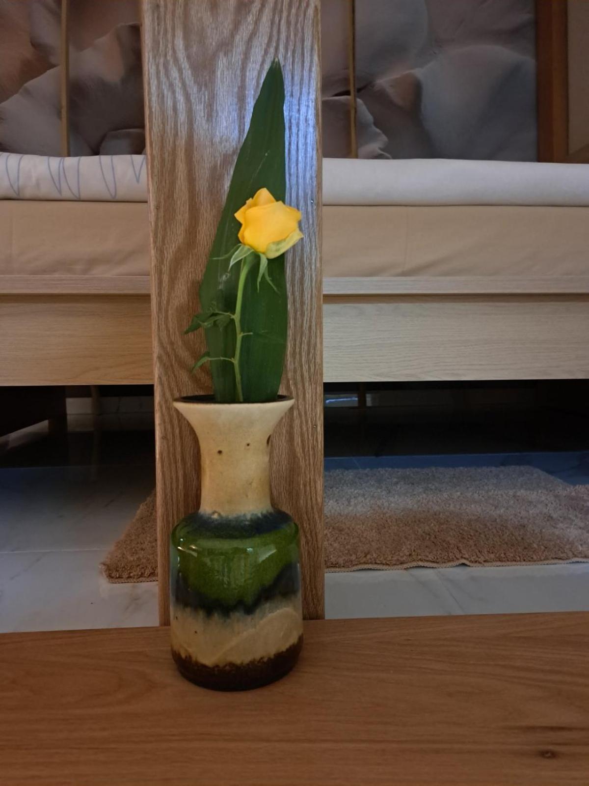 Apartman Barka Golubac Dış mekan fotoğraf