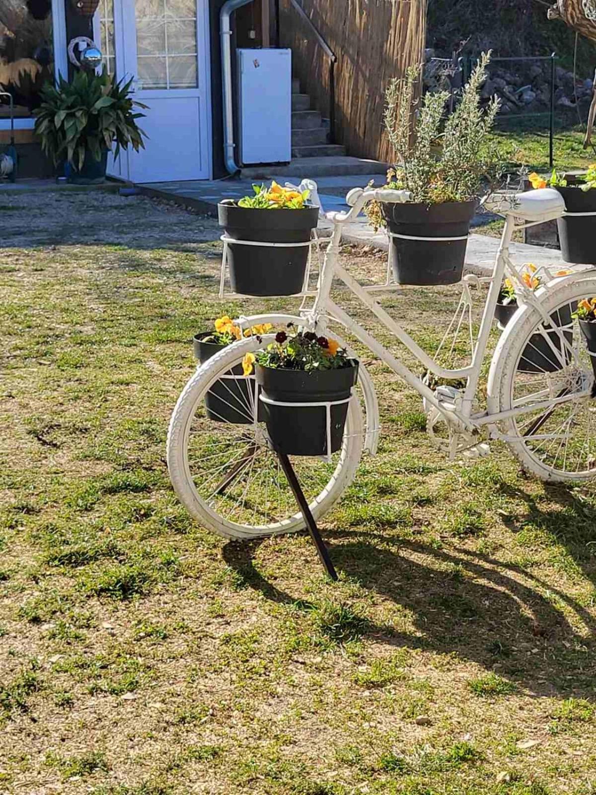 Apartman Barka Golubac Dış mekan fotoğraf